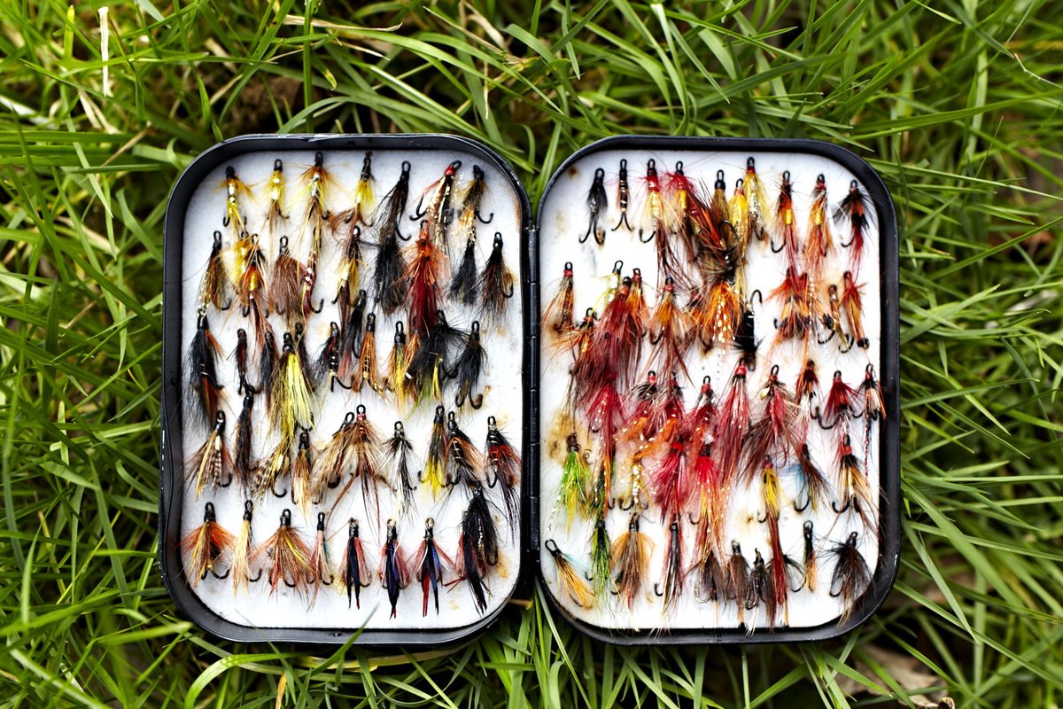 Great Fishing Houses tweet media