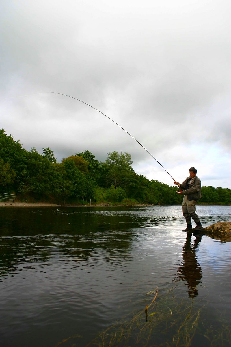 Great Fishing Houses tweet media