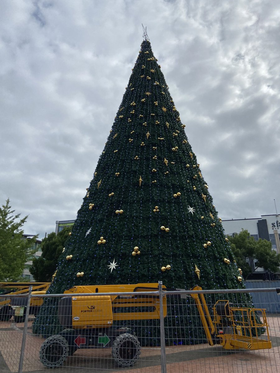 Wugga's tweet photo. #TreeWatch2022 https://t.co/pFvFyqPFar
