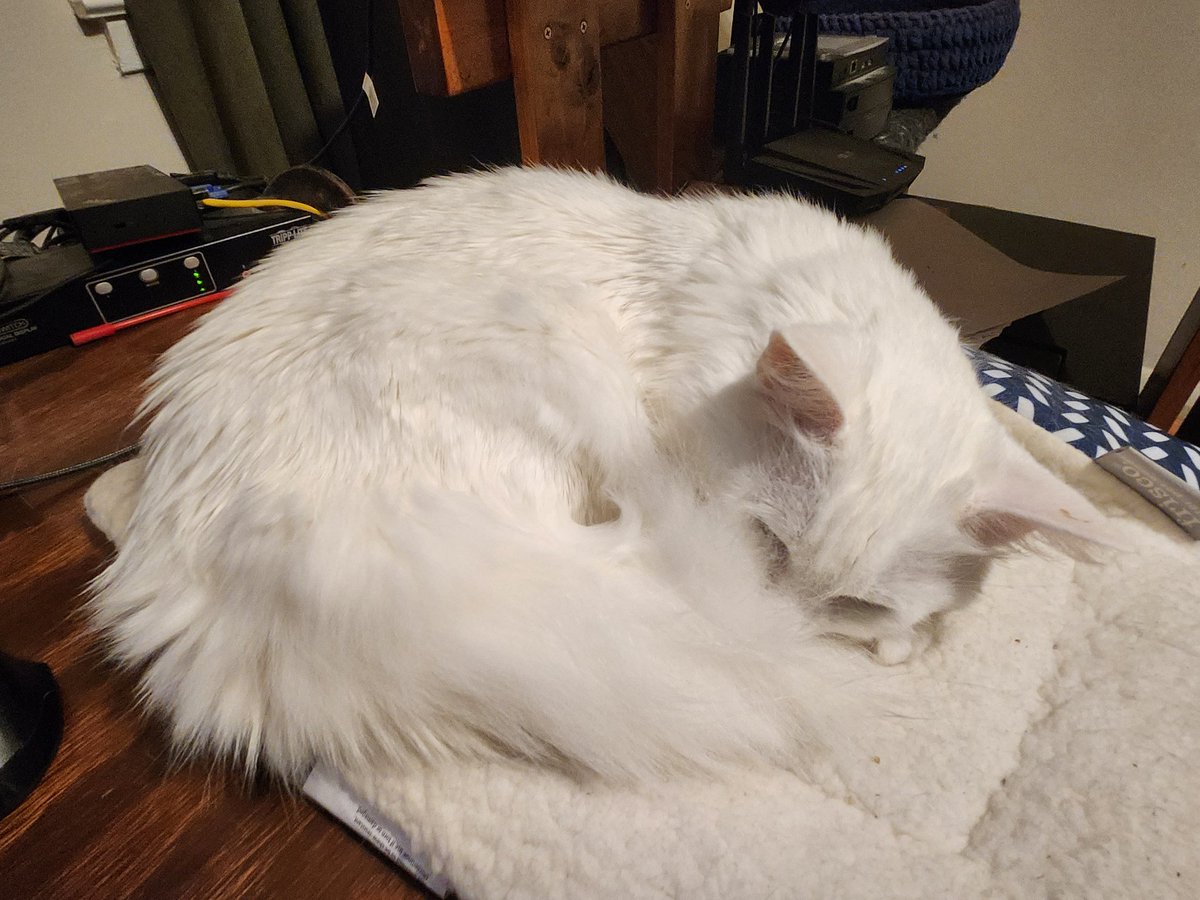 Hasufin's tweet photo. @seananmcguire I cannot work under these conditions. https://t.co/GkPvzBGt6h