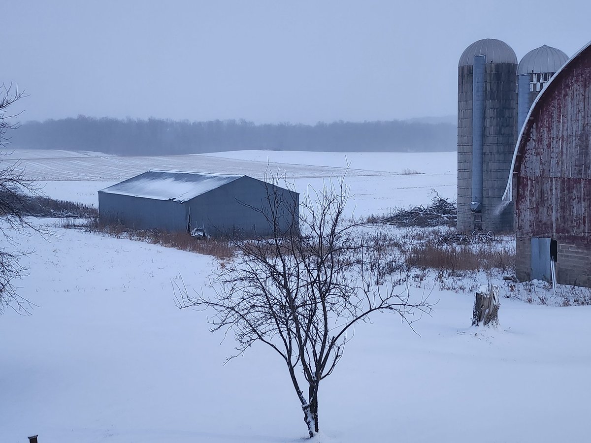 Erin Kelly ☘🤘 tweet media