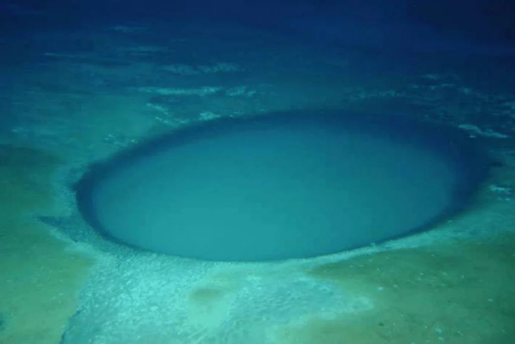 seacreature_otd's tweet photo. here are some examples of what brine pools look like !! https://t.co/9WaxkoVLox