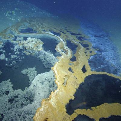 seacreature_otd's tweet photo. here are some examples of what brine pools look like !! https://t.co/9WaxkoVLox