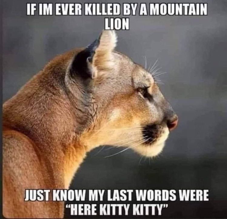 iamAtheistGirl's tweet photo. https://t.co/nlIinIrca8