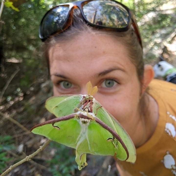 erincpow's tweet photo. #NewProfilePic Almost a #facebug! https://t.co/3sLVKDTvJL