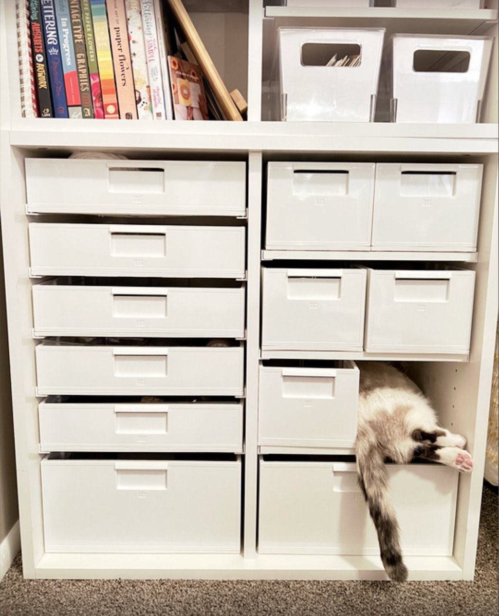 createroom's tweet photo. Looks like the Cubby is kitty approved! ✔️ ❤️ 

Did you know you can stack the Cubby for extra storage space?

#organization #createroom #dreambox #storagespace https://t.co/vU8AAXRVM8