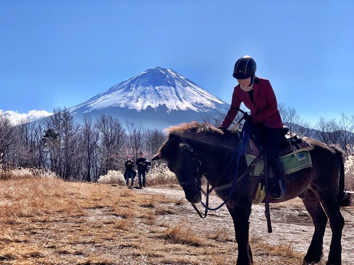 cnohime's tweet photo. @kisouma_bokujo 27日、富士山周辺を爆走。木曽馬の黒ヨウくんはとってもいい子でガンガン走りました。
素晴らしい秋晴れで暖かく。樹海に入っても心地よい涼しさで、雄大な自然と山林のアップダウンを行く、軽快な蹄の音を充分楽しめた2年ぶりのお遊びでした。馬と友人と周囲のみんなに感謝です。 https://t.co/DnggeuOetf
