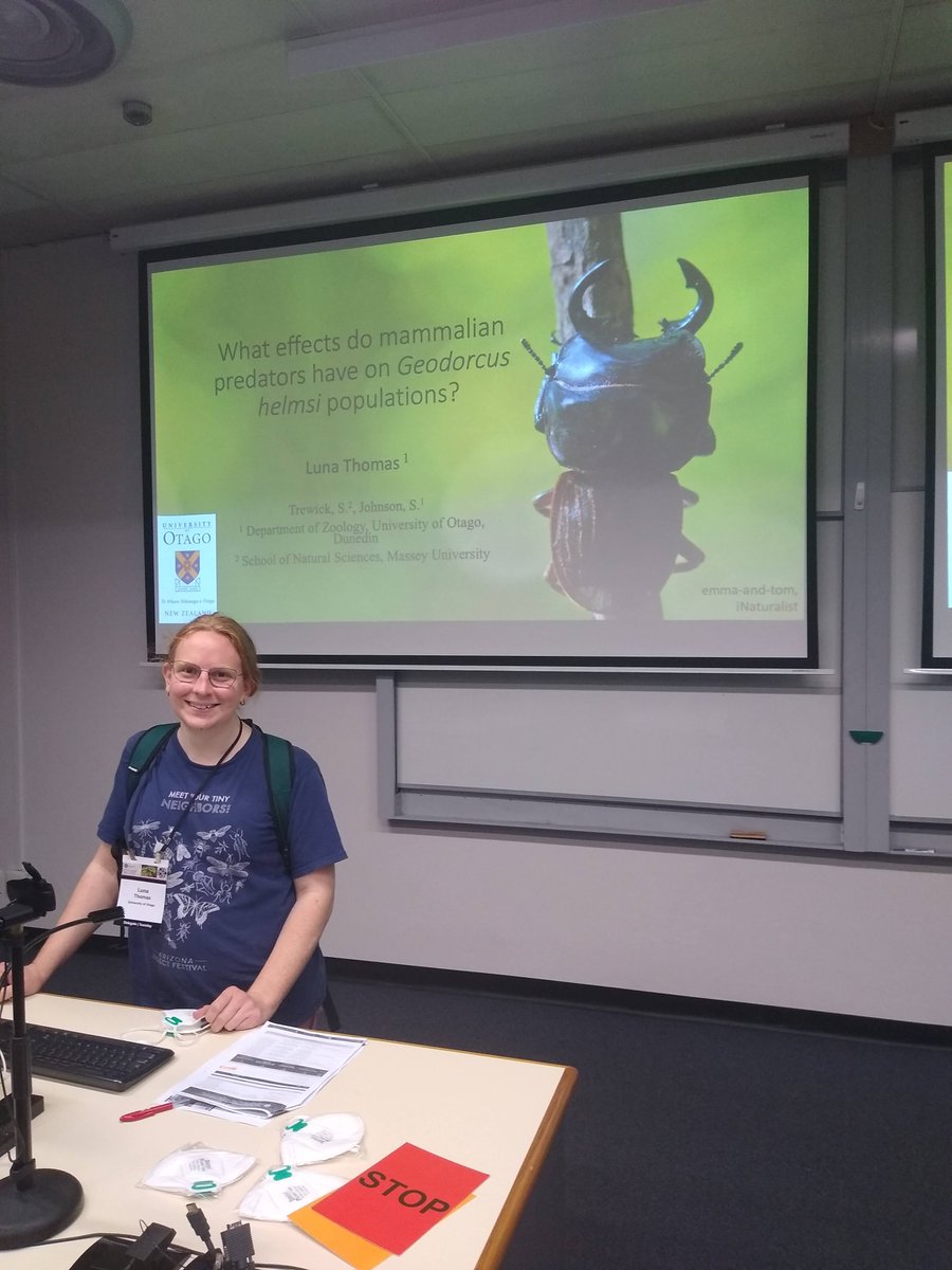 DorkyGeo's tweet photo. I gave a talk on one of the #BugOfTheYear2023 candidates yesterday! It was about how they are being affected by rats. You should show the Helm's stag beetle some love and vote for it! https://t.co/sESSYpaa6V
#TeamHelms @NZEntoSoc https://t.co/GVvNYqzYBH