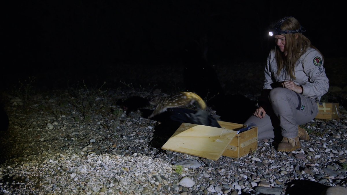 SA Department for Environment & Water tweet media