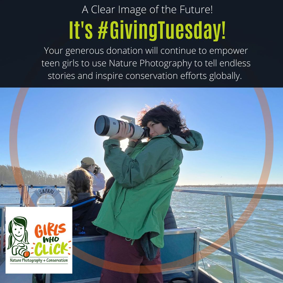 Girls Who Click tweet media