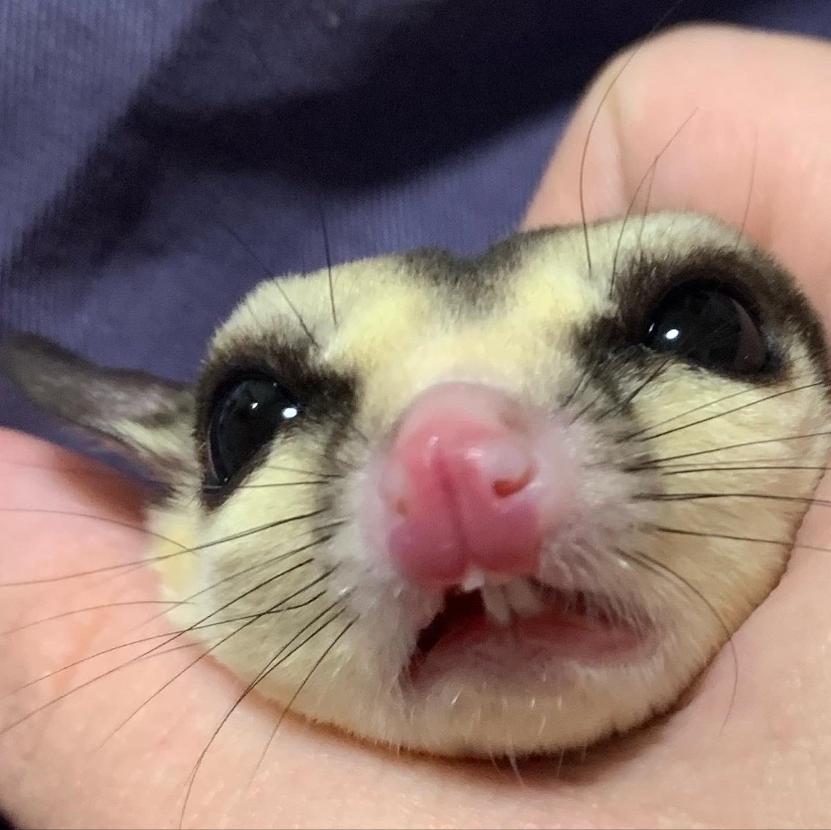 @くり、あ。 tweet media