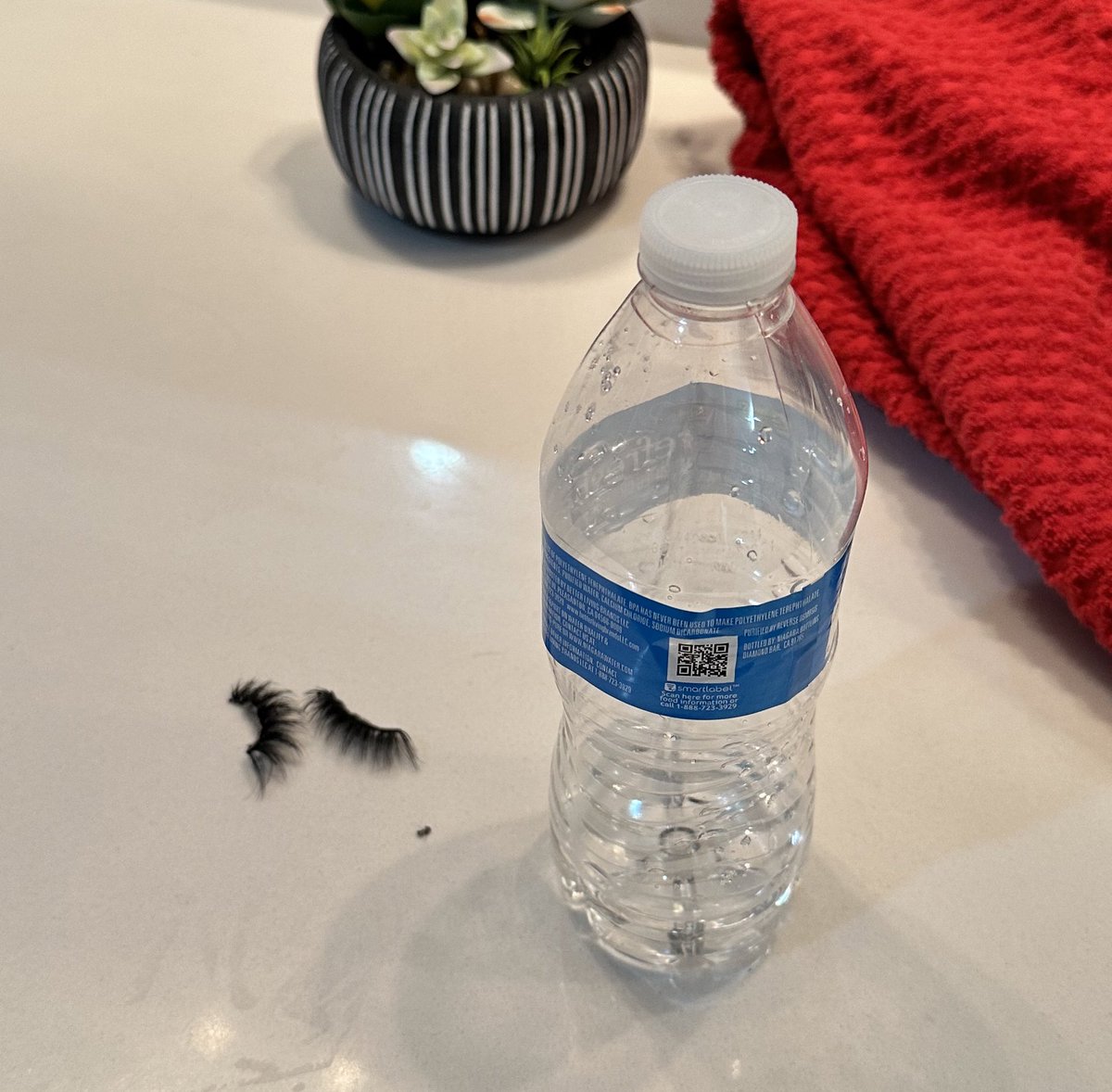 GoodDoBee's tweet photo. 5 years & just 1 day into my 6th year in the industry. Yup, people still can’t quite figure out where these go when they’re finished with them. And yes, I mean both water bottle & eye lashes
#PAlife #Setlife #NotYourMom #ItsCalledATrashCan #YoureGross https://t.co/s0jUY5t49z