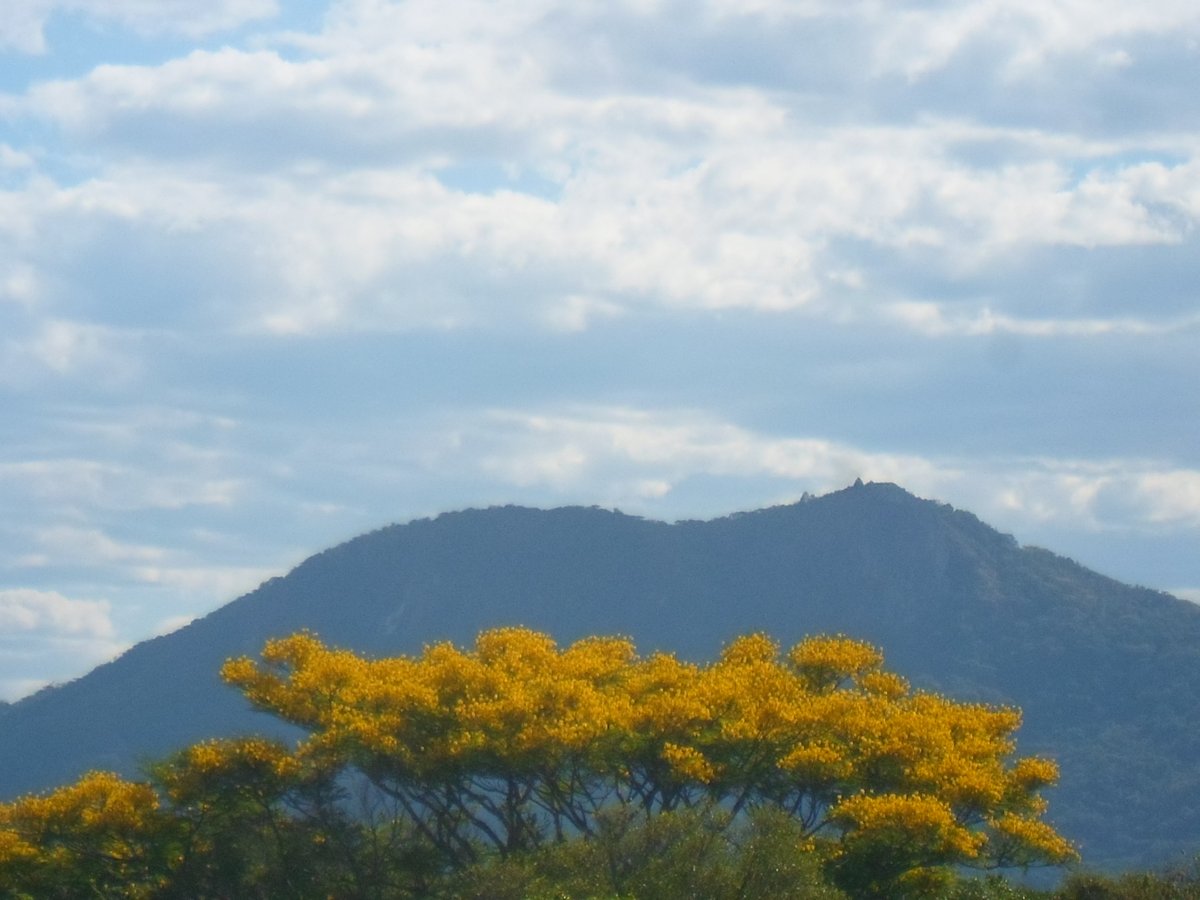 twinkokoko's tweet photo. fissurado nessas fotos

📸cybershot (ST64) https://t.co/qHAeP4uDyV