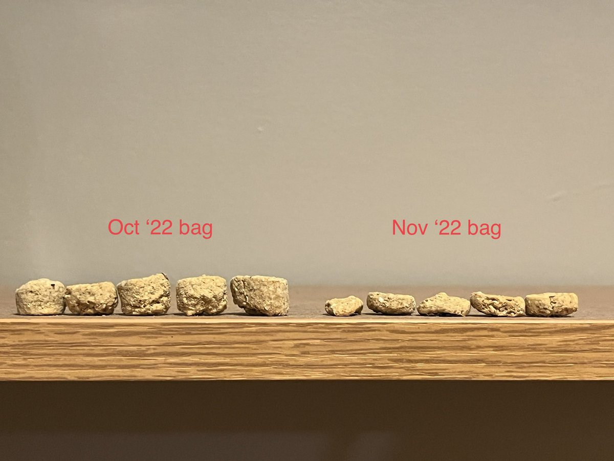 Kendal Wronski tweet media