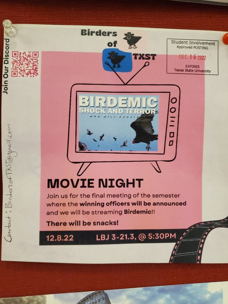 avalicats's tweet photo. Im so glad the gen-z kids are getting to be introduced to the wonders of Birdemic and @alanbagh https://t.co/6FNdOWzTQ7