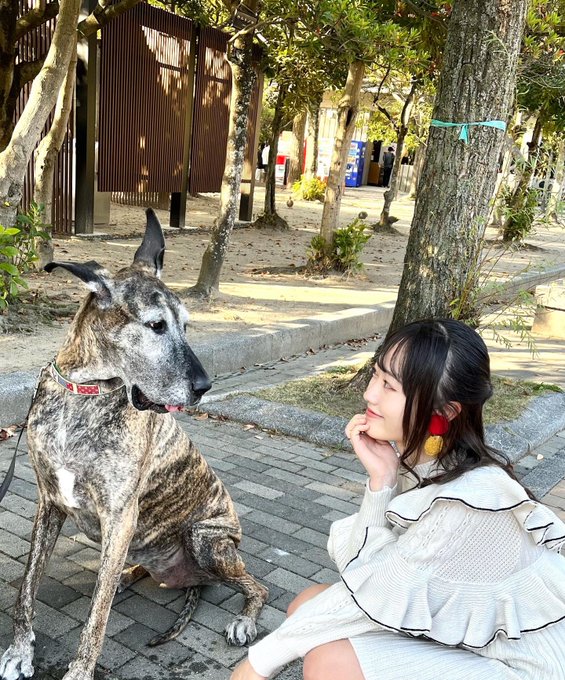 Twitterのコスプレ画像15