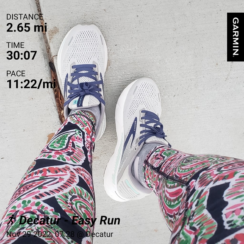 nacole99's tweet photo. Last easy run of November in my new @brooksrunning shoes. Another day closer to the @SavannahSports #savbridgerun Double Pump. #bibchat #runchat #leagueofgarmin #savbridgerunbr https://t.co/aYQ266DLnL