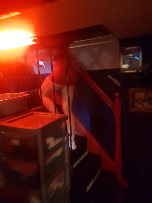 A nice site was seeing @cate_mcqueen #ass leave on the set of @darksidemag good #femdom film day - #FemdomIsFun<a class="tags" target="_blank" title="On Twitter" href="/?out=eyJ0eXAiOiJKV1QiLCJhbGciOiJIUzUxMiJ9.eyJpYXQiOjE3MzEyODc1ODEsImlzcyI6InR3cG9ybnN0YXJzLmNvbSIsIm5iZiI6MTczMTI4NzU4MSwiZXhwIjoxNzYyODIzNTgxLCJyZWRpcmVjdF91cmwiOiJodHRwczovL3R3aXR0ZXIuY29tL2NhdGVfbWNxdWVlbiJ9.J2HK1ia8GRIteE1qjq9gGVcm3tHLNBN9Jtym8SpVqceea23ZUvTQrdt4ibEvsQZuo4JZQvj24Jef6UF_s6q5sw">@cate_mcqueen</a><a href="/tag/ass"class="tags">#ass</a><a href="/tag/femdom"class="tags"><span>#femdom</span></a><a href="/tag/femdomisfun"class="tags"><span>#femdomisfun</span></a>