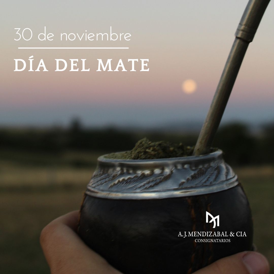 ajmendizabal's tweet photo. El 🧉 es exactamente lo contrario a estar con el celular.
Te hace conversar si estás con alguien, y te hace pensar cuando estás solo. 😀

#AJMendizabal #diadelmate #mateargentino https://t.co/OMUjtW22mt