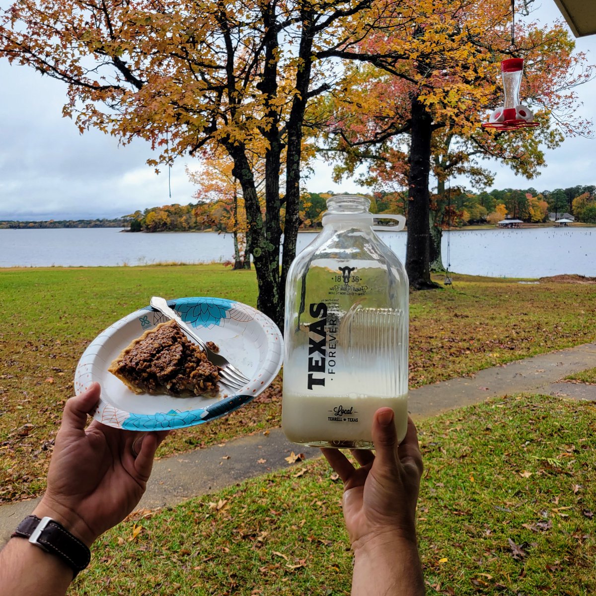 I don't know about y'all, but I find it near impossible to eat a good piece of pie without a glass of milk. Y'all with me on that? It doesn't get much more Texan than a slice of pecan pie and a glass of <a href="/1836Farms/">1836 Farms</a> milk.