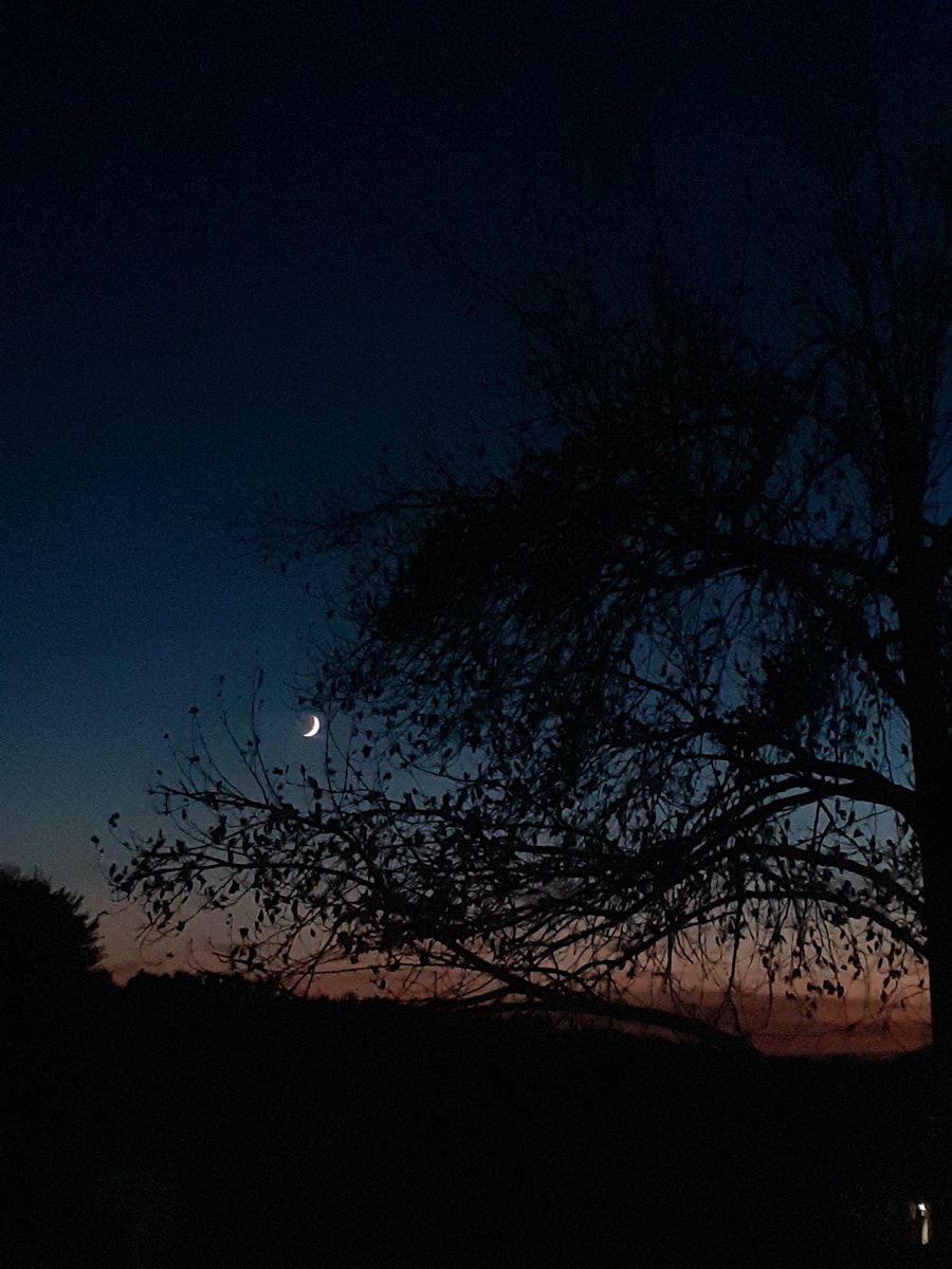 chiara14_1's tweet photo. "Alzati, sorgi! 
Nella tenebra, in ogni tenebra, è possibile rialzarsi se c'è qualcuno che ci chiama e ci invita a sorgere"
(Luigino Bruni)

#lapreghieranellattesa
#CBFB
#29novembre https://t.co/SsODVJYths