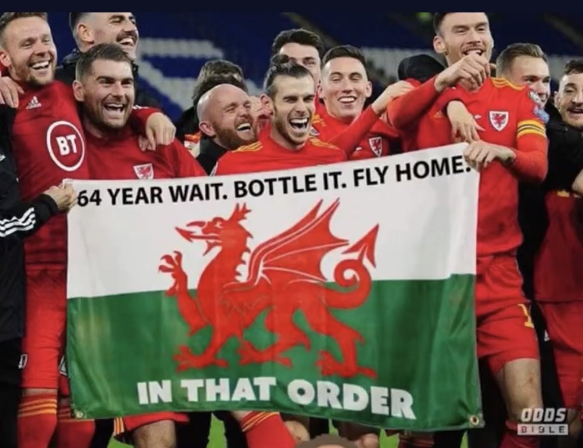 Back home to your sheep