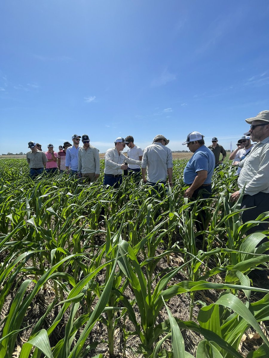 Andrea Gargantini tweet media