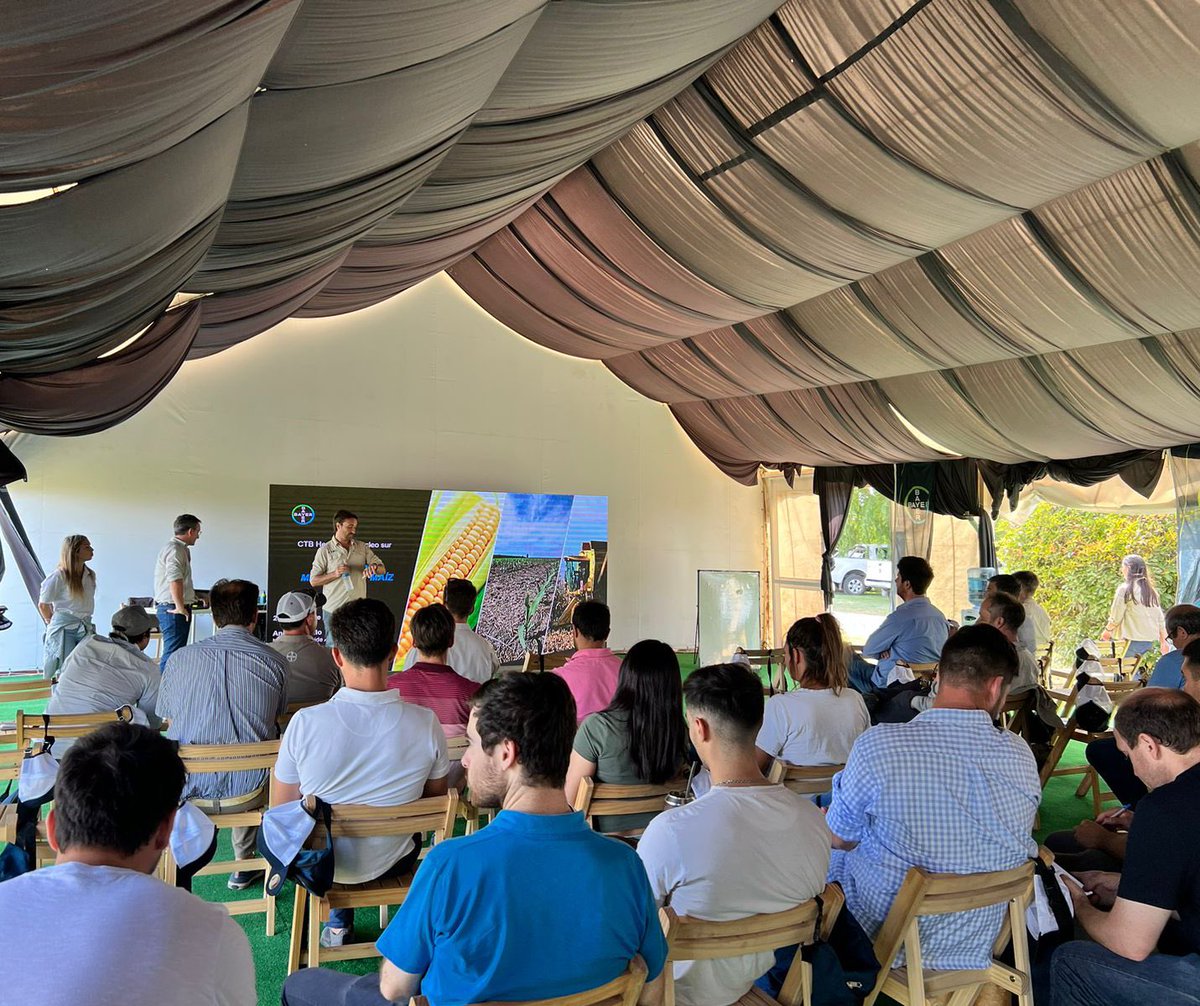 Andrea Gargantini tweet media