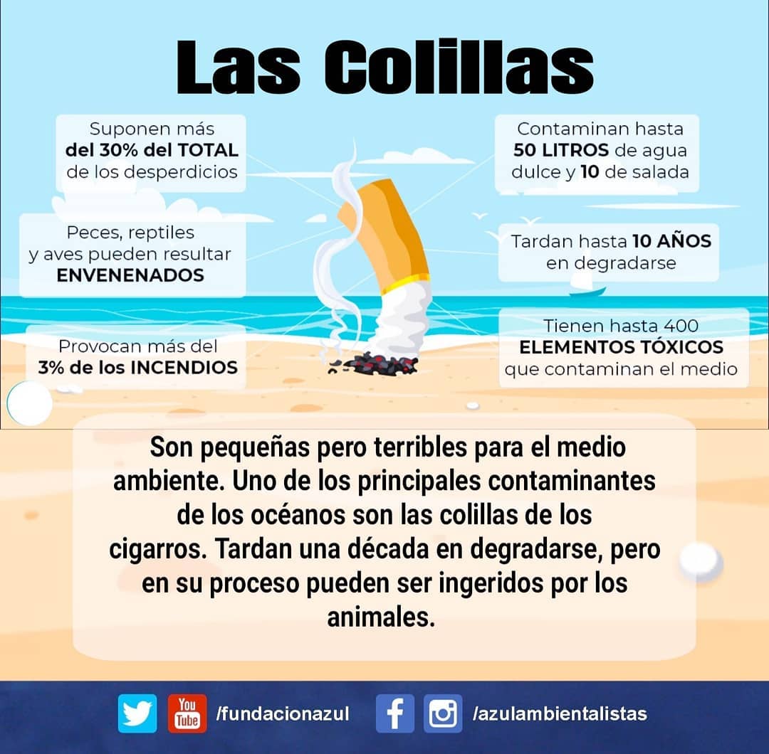 Existe un gran desconocimiento sobre lo nocivo que puede resultar las #ColillasDeCigarros para el #MedioAmbiente. Representan hasta el 15% del total de residuos recogidos en la campaña mundial de #LimpiezaDePlayas... Se cree que hay mucho más. #LaPlayaNoEsTuCenicero 🏖️🚫🚬