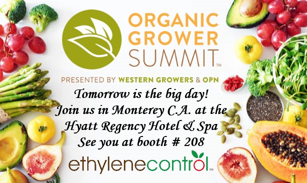 EthyleneControl's tweet image. you're only a day away.... Organic Grower Summit
cannot wait to see what is in store these next 2 days, see you there! #ethylenecontrol #OGS2022 #OrganicGrowerSummit  #freshproduce #omri #omrilisted #organic #ecofriendly #foodsafety #reducewaste #agriculture #CAAG #californiaag