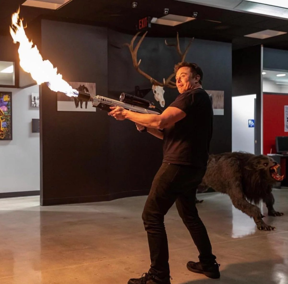 ImmortanMusk's tweet photo. How it started.                     How it's going. https://t.co/qdgzmzv5EV