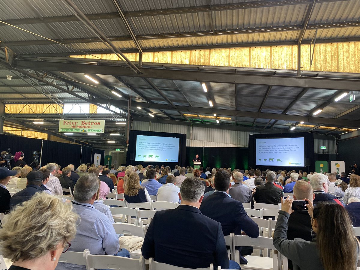 BelindaCallanan's tweet photo. Large crowd today at the Toowoomba Showgrounds for the @meatlivestock  update. Looking forward to an insightful day. https://t.co/MuGV73BlPa