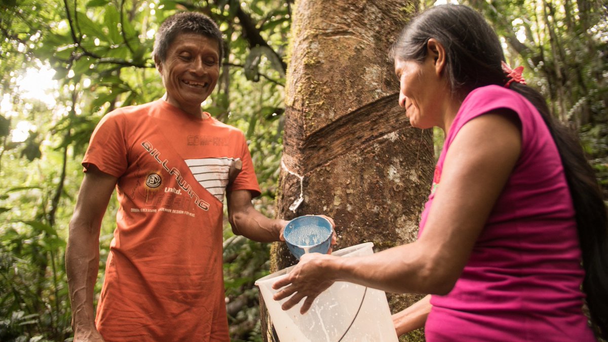 ASteiner's tweet photo. The clock is ticking as time is running out to protect nature.
 
It's now or never to invest in solutions #ForPeopleForPlanet.
 
Learn how we can effectively finance nature at the #NatureForLife Hub 👉 https://t.co/v9NDXxOL84 https://t.co/UwmLuyEnbk