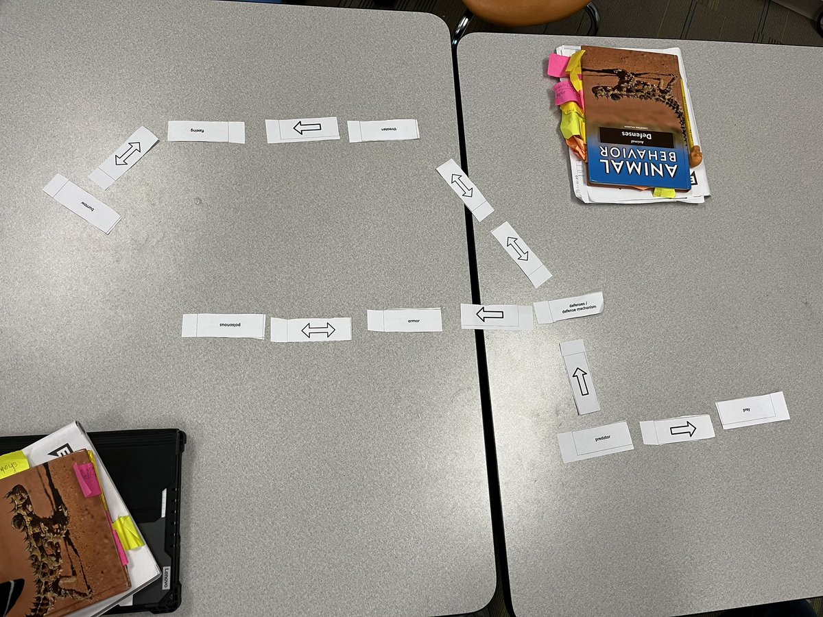 Kristin Zei tweet media