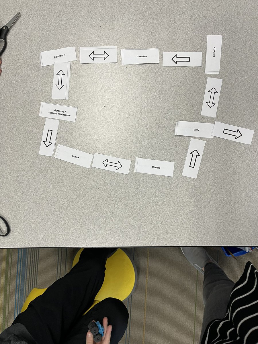 Kristin Zei tweet media