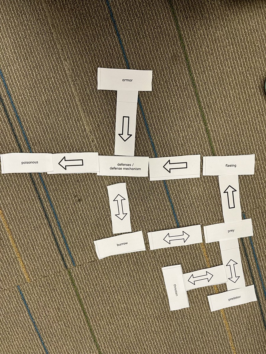 Kristin Zei tweet media