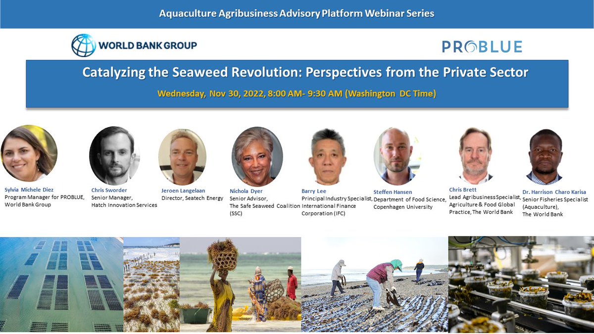 World Bank Group AgriFood tweet media