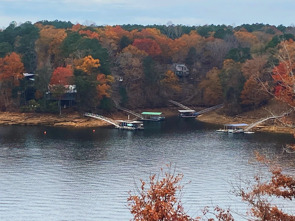 trentat's tweet photo. The last of fall colors on Smith Lake🧣🍂
📸: Melissa Dodge
Melissa Dodge
Lake & Coast Real Estate Co.
melissa.dodge@lakeandcoast.com
#lakeandcoast #lakelife #lakeproperty #smithlake #smithlakealabama #lewissmithlake #waterfrontproperty #allakes #lakepeople #falltowinter https://t.co/6n5AMYUlZz