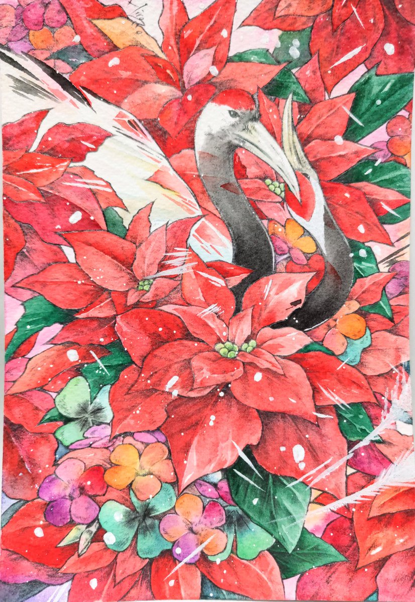 「【ポインセチア+オキザリス+番い鶴】ポインセチアの花言葉「聖夜・幸運を祈る・祝福」|Hiro兄。のイラスト