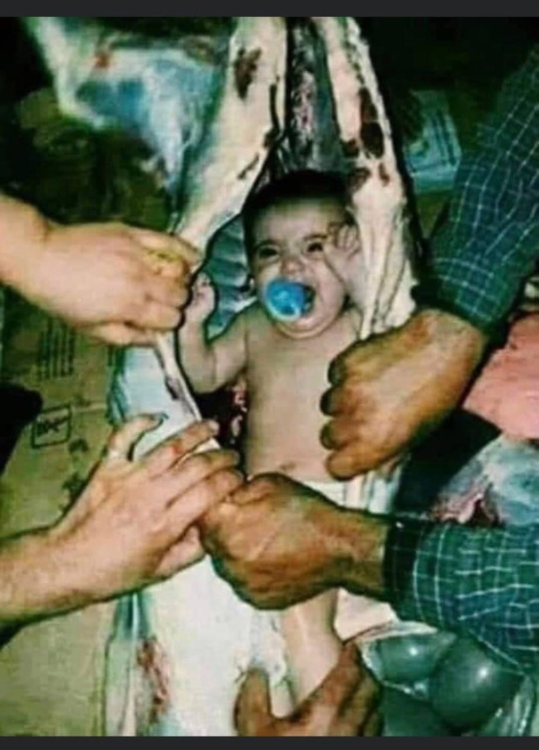 Trafic d'enfants, un camion a été arrêté, il transportait des bébés qui étaient mis dans des carcasses de bœufs morts, afin d'être revendus...