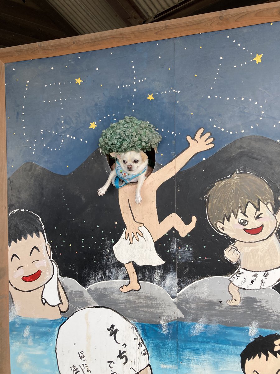 #画像をなんでもいいので無言で1枚上げろ 