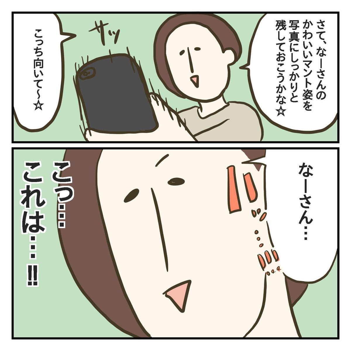 マント(3/3) 