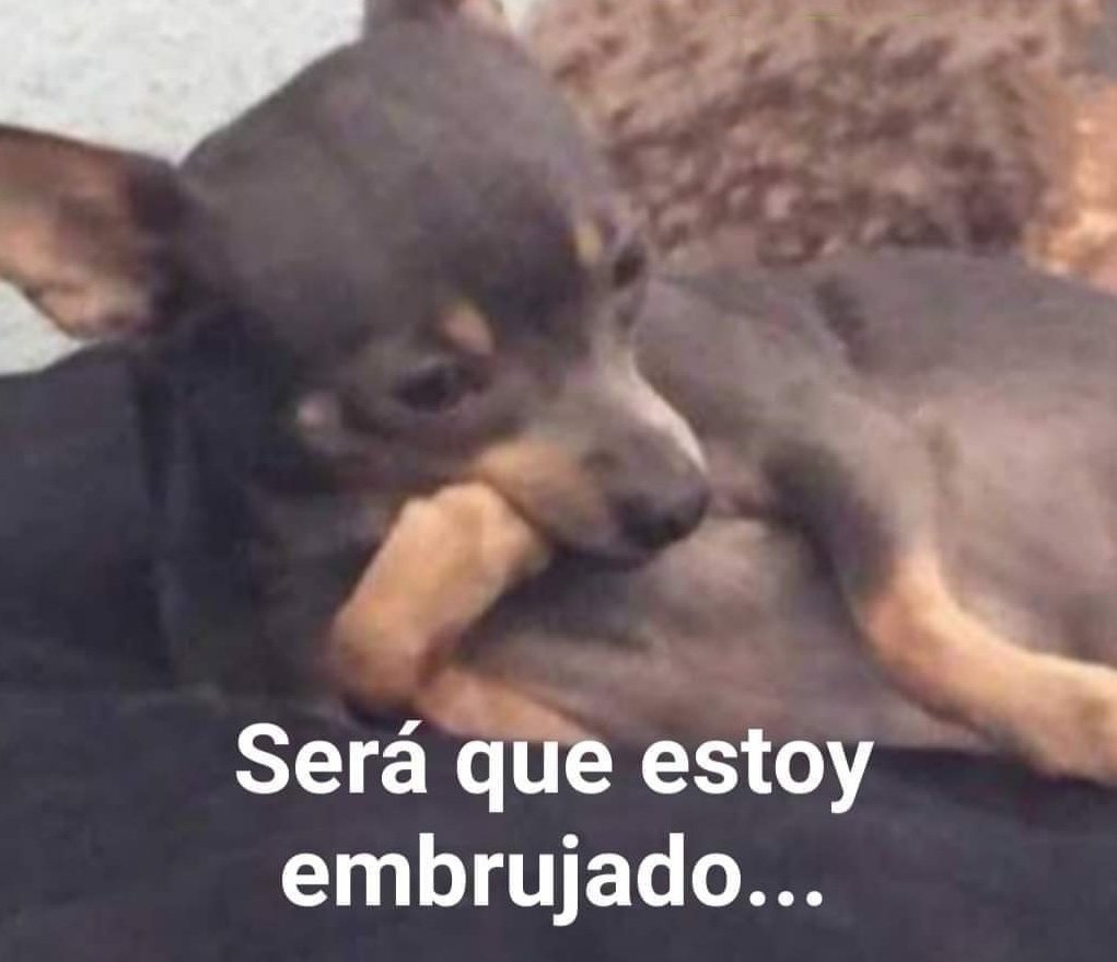 SoyDaniloDiaz's tweet photo. Yo pensando en lo mucho que trabajo y nunca tengo dinero. https://t.co/tKpIKbNKBy