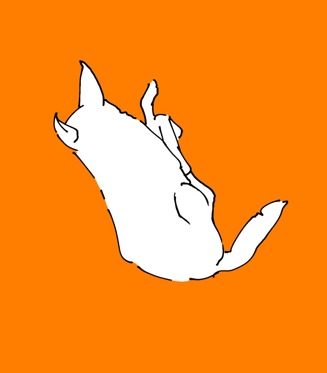 orange background simple background no humans solo lying monochrome tail  illustration images