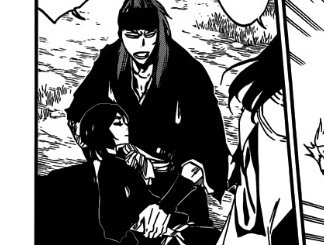 daily Renji Abarai (@daily_renji) on Twitter photo 