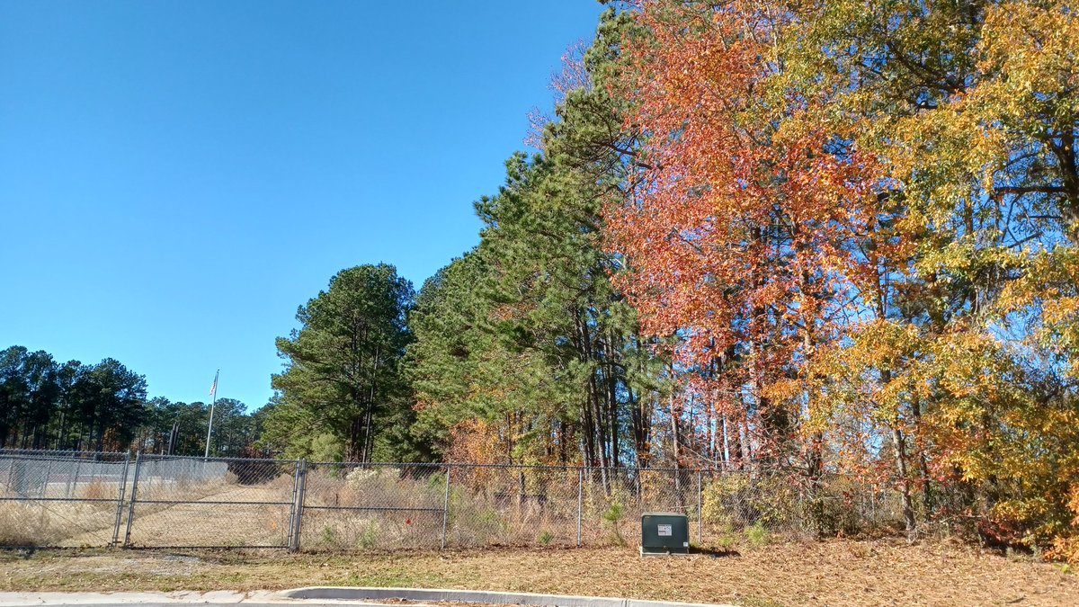 MrBell_Educator's tweet photo. I took my Environmental Science class outside this week to check out some areas where we could see and discuss some "Ecological Succession." The area we found in the picture was perfect because we could see multiple stages of natural growth in one place. It was fun! 🍂☀️🌲 https://t.co/wUbDhQvdH9
