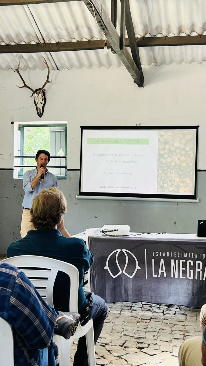 agrolarus's tweet photo. Dios nos cría y Twitter nos amontona 😂! Hoy conocí personalmente al genio del Ing @pedrobottao que estuvo disertando en la Jornada Silvopastoril (en el Establecimiento La Negra de Angel Rossi) sobre: “El negocio forestal NE de la Prov de Bs As.” https://t.co/RP0KjH9JHn