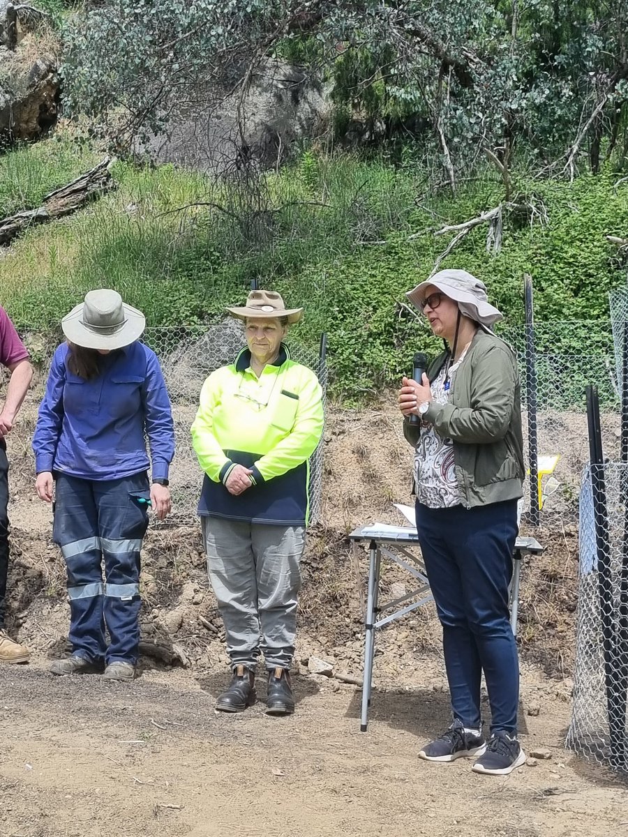 razzprotein's tweet photo. Today is Field Day at Gap Flat Track in beautiful Kergunyah, Victoria. Today is all about #nativecrops for #droughtstress #futureDroughtFund #AusGov #AusAg #droughtresilience #drought #innovation #aginnovation #agriculture #farming @VicHub_Drought @@FVASunimelb https://t.co/8a8HZ4Rs4U