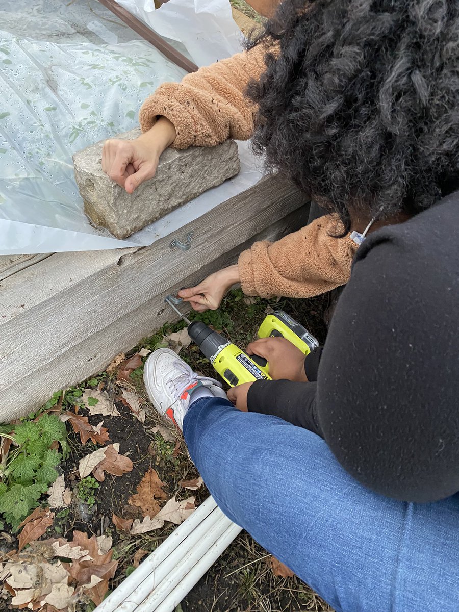 MsWelshNGHS's tweet photo. @NorthGrandHS Garden Cub was hard at work today clearing beds and making hoop houses for our lettuce that is still going strong! #HootHouse #powertools https://t.co/pJWPP2iRFX