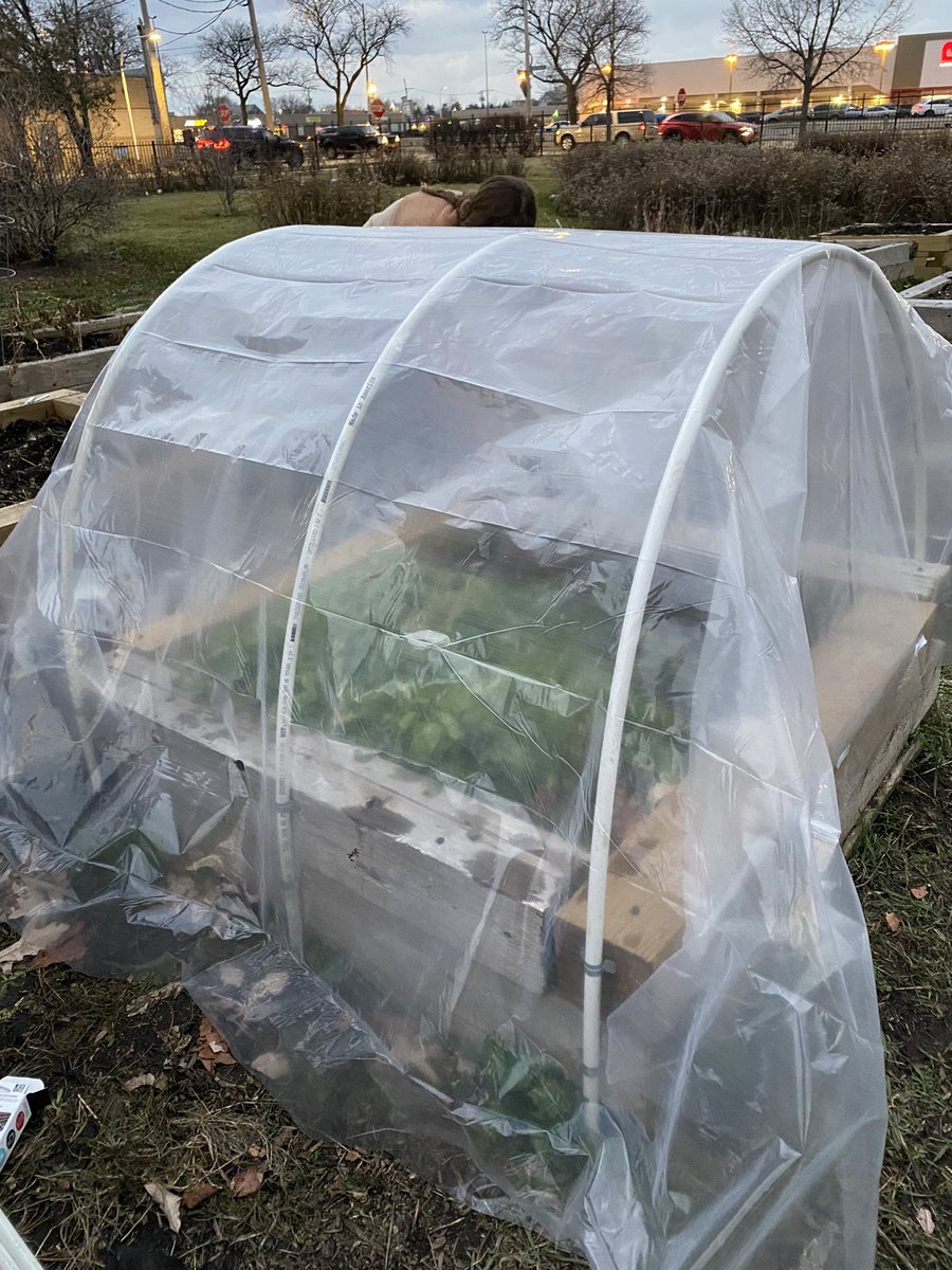 MsWelshNGHS's tweet photo. @NorthGrandHS Garden Cub was hard at work today clearing beds and making hoop houses for our lettuce that is still going strong! #HootHouse #powertools https://t.co/pJWPP2iRFX